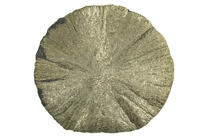 Radiant Pyrite Sun - Sparta, Illinois #342568